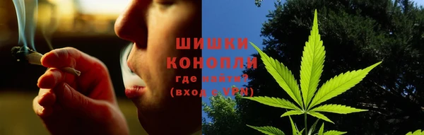 соль курить ск Болотное