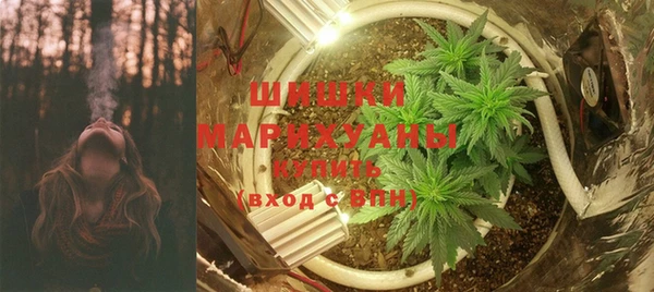 дживик Касимов