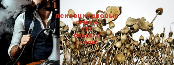 прущая мука Кинешма