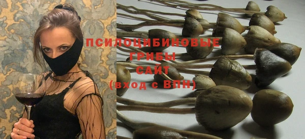 прущая мука Кинешма