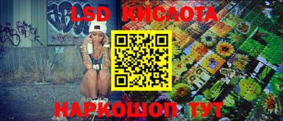 молекула духа Кулебаки