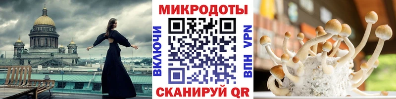 купить  цена  Красноармейск  Галлюциногенные грибы GOLDEN TEACHER 